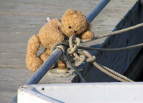 Left behind and lost teddybears